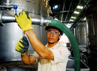 Tasa de accidentabilidad alcanzó un 4,05%