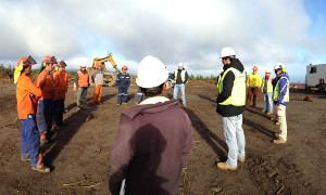 ACHS y empresas forestales continúan trabajando por la prevención