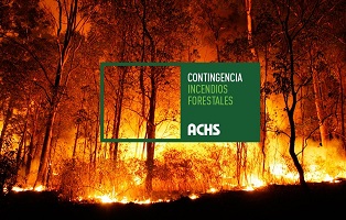 Cómo actuar frente a la emergencia de incendios forestales que afecta al país