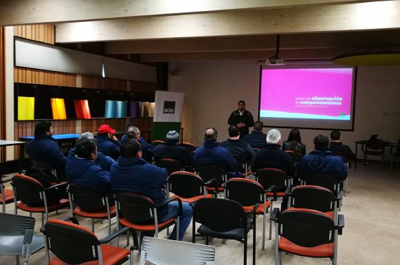 La ACHS y hunter douglas llevaron a cabo campaña de observación de comportamientos