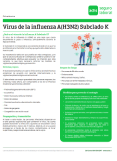 Influenza Subclado K H3N2