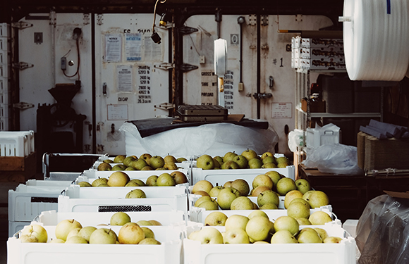 Trabajos de temporada: aspectos a los que debes poner atención